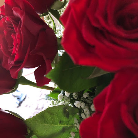 Meet your Posher, Olivia - Picture 1 of 1